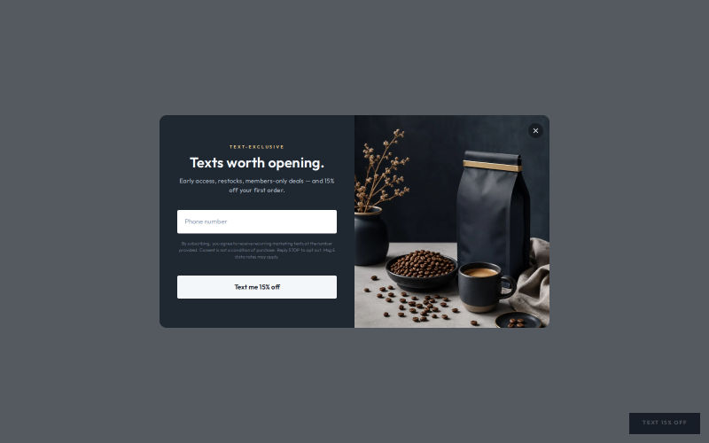 Welcome Offer - Slate — Popup Shopify popup template